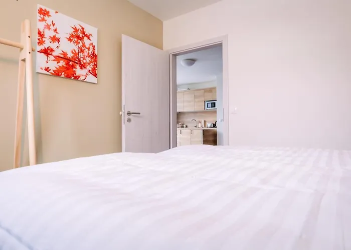 Aura Vi By Mountain Ways